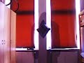 Ghost video - Fearless Ghost video - Fearless
