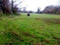 videos de Jord And Mike On Quad !!!