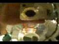 videos de My Z Custom 18