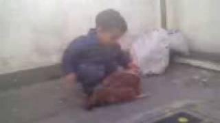 Mostafa Fils De Tofik