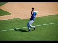 Catch and a flip: A New York fally Catch and a flip: A New York fally