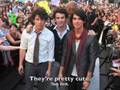 Lovebug: A Jonas Story Chapter 49