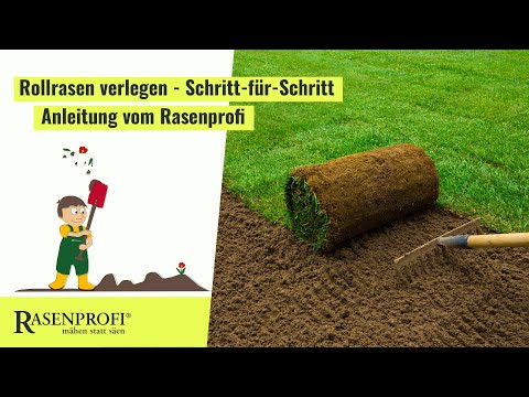 Rollrasen verlegen - Rasenprofi.de