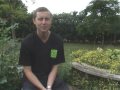 Lime Orchard Garden Design