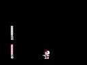 Blaster Master Stage 7 Boss Fight Blaster Master Stage 7 Boss Fight