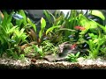 Aquarium DrEdison CZ Aquarium DrEdison CZ