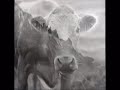 Brecon Beacons in Black and White