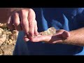 FOSSICKING WITH DOUG