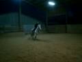 videos de alizée saut