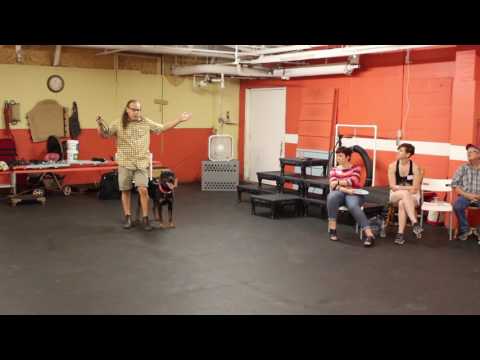 180 move for dog that is always pushing ahead for heeling