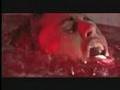 REEL FEAR preview