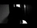 Zodiaco - Hondonero