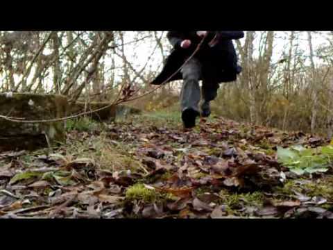 Youtube Video bCRg9l2tMP4