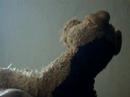 dramatic dog remix (thank you dramatic chipmunk) dramatic dog remix (thank you dramatic chipmunk)