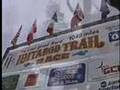 Pretty Sled Dogs/Iditarod