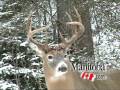 Hunting and Fishing Manitoba