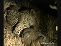 WE.TV: Safari & First Live Kill! Pt. 5