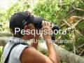 Programa  SOS nascentes do Rio Piracanjuba
