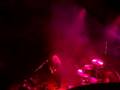 gov't mule toads place