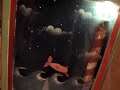 o peixe que comia estrelas cadentes