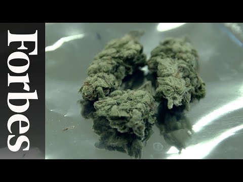 Watch Deep Web Online Forbes