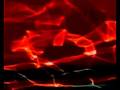 Metamorfosis