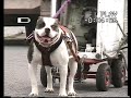 thing pulling