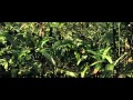 Mutánsok Szigete.(teljes film ) Mutánsok Szigete.(teljes film )
