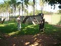 canilcaraibas.com