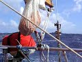sailing on the atlantic ocean on a classic wooden jacht 31ft