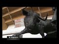 Aragoneses por el mundo. M�xico DF 3