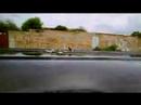 bass video