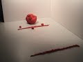 Erste Schritte mit Plastilin Erste Schritte mit Plastilin