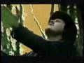 Zucchero Overdose d'amore