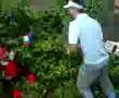 Nonsense Squad Pub Golf - Madness Going To Hole 9