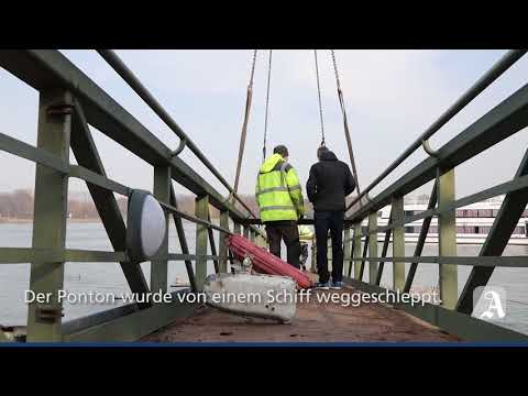 Mainz: Landungsbrcke wurde am Winterhafen demontiert