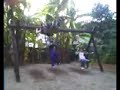 vamo passear no bosque?
