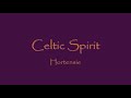 Celtic Spirit