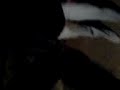 putiza de la baca