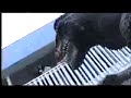 loserzilla vs  ultraman bubba