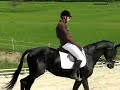 Dressage Club Elite Grand Prix