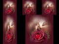 Una vieja Cancion de Amor