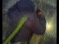 Violencia en las escuelas
