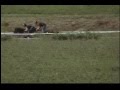 Geena Lattanzio Breezing At Victory Haven Training Center