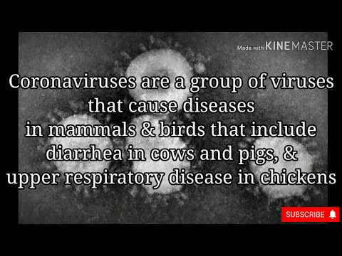 Discovered in the 1960s | Serious Respiratory Tract Infections | Coronaviruses