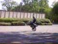 circle skateur