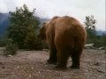 Kiesa meska 2 video