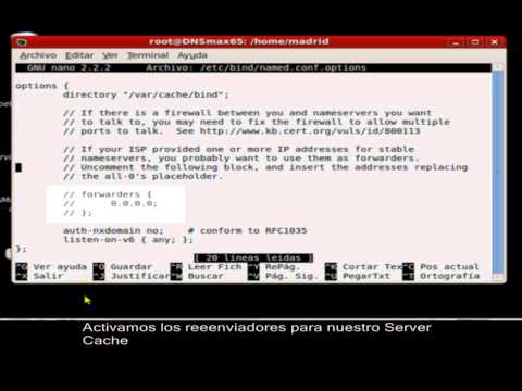 how to flush dns in linux