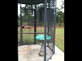 Weird Bird Told Me To Shut Up