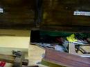 Workshop, Version 2.0